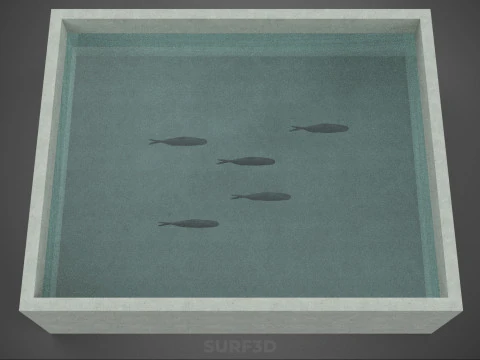 FISH SWIMMING CONCRETE WATER TANK CONTAINER POND POOL AQUA BASIN 3D Model