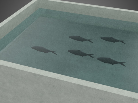 FISH SWIMMING CONCRETE WATER TANK CONTAINER POND POOL AQUA BASIN 3D Model