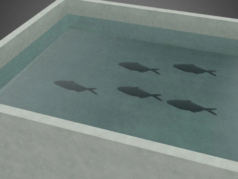 FISH SWIMMING CONCRETE WATER TANK CONTAINER POND POOL AQUA BASIN 3D Model