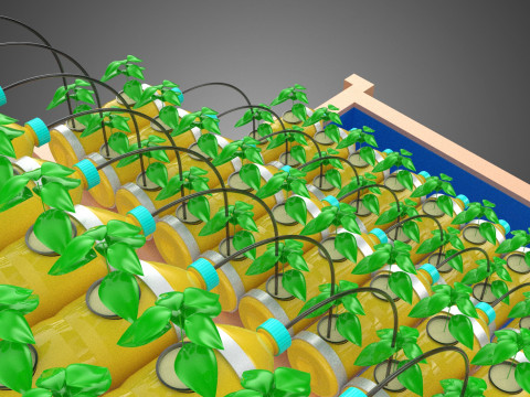 БОЧКА ДЛЯ ПЛАСТИКОВОЙ ВОДЫ, МИНЕРАЛЬНЫЕ БУТЫЛКИ, ГИДРОПОНИЧЕСКИЙ БЕСЗЕМНЕННЫЙ ГОРШЕЧНЫЙ ЗАВОД 3D Модель