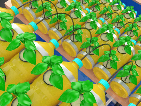 БОЧКА ДЛЯ ПЛАСТИКОВОЙ ВОДЫ, МИНЕРАЛЬНЫЕ БУТЫЛКИ, ГИДРОПОНИЧЕСКИЙ БЕСЗЕМНЕННЫЙ ГОРШЕЧНЫЙ ЗАВОД 3D Модель