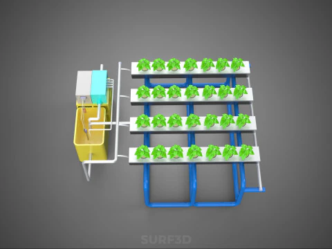 ऑटो नियंत्रण निगरानी पोषक तत्व पीएच पोषण हाइड्रोपोनिक संयंत्र 3D मॉडल