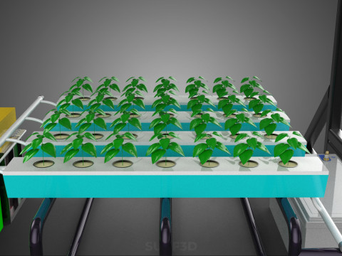 SOLAR ROOF ENERGY POWER IOT PH NUTRIENT CONTROL HYDROPONIC PLANT 3D Model