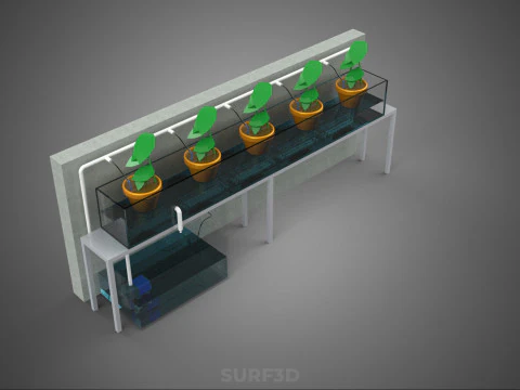 HYDROPONIC PLANT FARM DRIP SYSTEM NUTRIENT AUTO IRRIGATION TIMER 3D Model