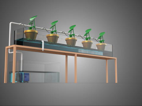 HYDROPONIC GROWTH PLANT FARMING DRIP IRRIGATION SYSTEM GARDENING 3D Model