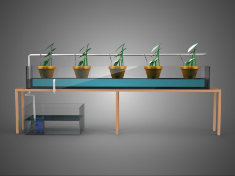 HYDROPONIC GROWTH PLANT FARMING DRIP IRRIGATION SYSTEM GARDENING 3D Model