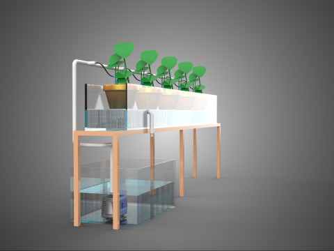HYDROPONIC GROWTH PLANT FARMING DRIP IRRIGATION SYSTEM GARDENING 3D Model