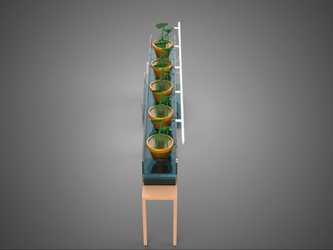 HYDROPONIC GROWTH PLANT FARMING DRIP IRRIGATION SYSTEM GARDENING 3D Model