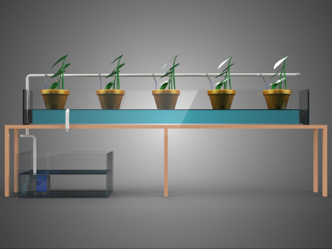 HYDROPONIC GROWTH PLANT FARMING DRIP IRRIGATION SYSTEM GARDENING 3D Model