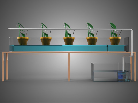 HYDROPONIC GROWTH PLANT FARMING DRIP IRRIGATION SYSTEM GARDENING 3D Model