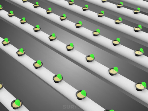 DİZİ SIRALAR BİTKİLER BÜYÜK ÖLÇEKLİ NFT HİDROPONİK KURULUM TARIM 3D Model