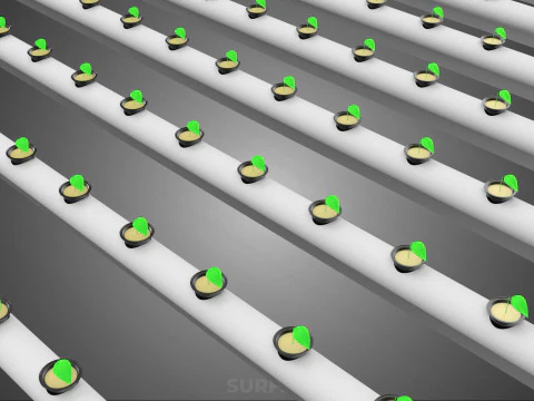 ARRAY ROWS PLANTS CROPS LARGE SCALE NFT HYDROPONIC SETUP FARMING 3D Model
