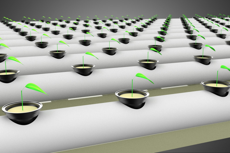 RETE SEMINA VASO TAZZA CRESCITA SISTEMI FATTORIA IDROPONICA PARALLELO PVC Modello 3D .c4d .max .obj .3ds .fbx .stl .blend