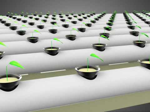 RETE SEMINA VASO TAZZA CRESCITA SISTEMI FATTORIA IDROPONICA PARALLELO PVC Modello 3D