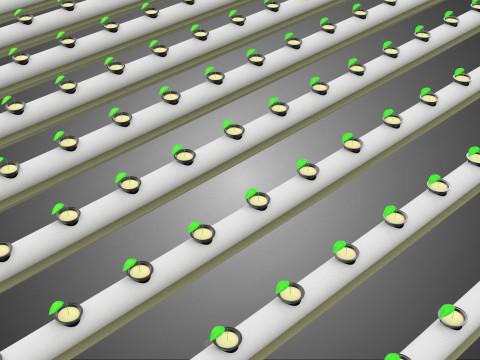 RETE SEMINA VASO TAZZA CRESCITA SISTEMI FATTORIA IDROPONICA PARALLELO PVC Modello 3D