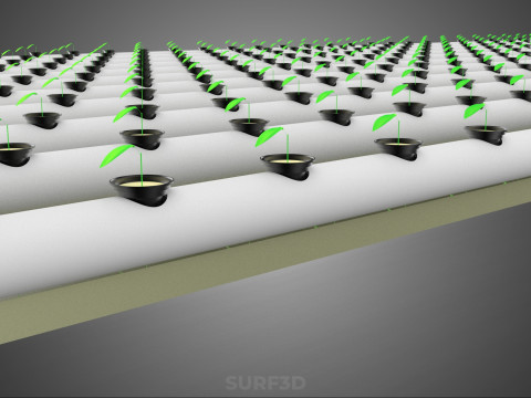 RETE SEMINA VASO TAZZA CRESCITA SISTEMI FATTORIA IDROPONICA PARALLELO PVC Modello 3D
