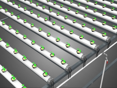 CONFIGURACIÓN DE GRANJA HIDROPONICA PLANTAS DE CRECIMIENTO EN MACETAS REDES TUBOS NFT PARALELOS Modelo 3D