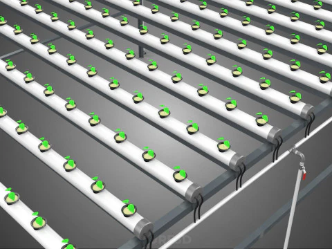 HYDROPONIC FARM SETUP SEEDLINGS GROW NET POTS PARALLEL NFT PIPES 3D Model