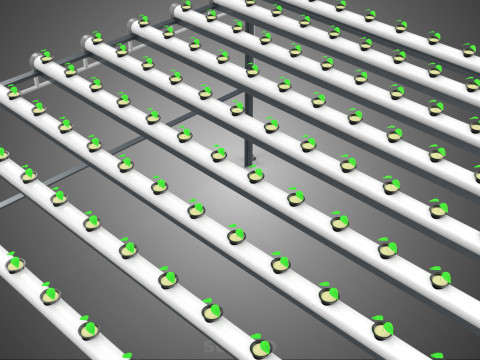 CONFIGURACIÓN DE GRANJA HIDROPONICA PLANTAS DE CRECIMIENTO EN MACETAS REDES TUBOS NFT PARALELOS Modelo 3D