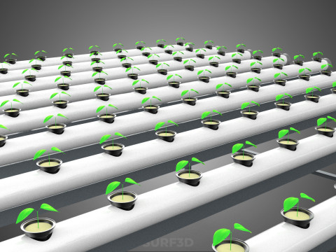 CONFIGURACIÓN DE GRANJA HIDROPONICA PLANTAS DE CRECIMIENTO EN MACETAS REDES TUBOS NFT PARALELOS Modelo 3D
