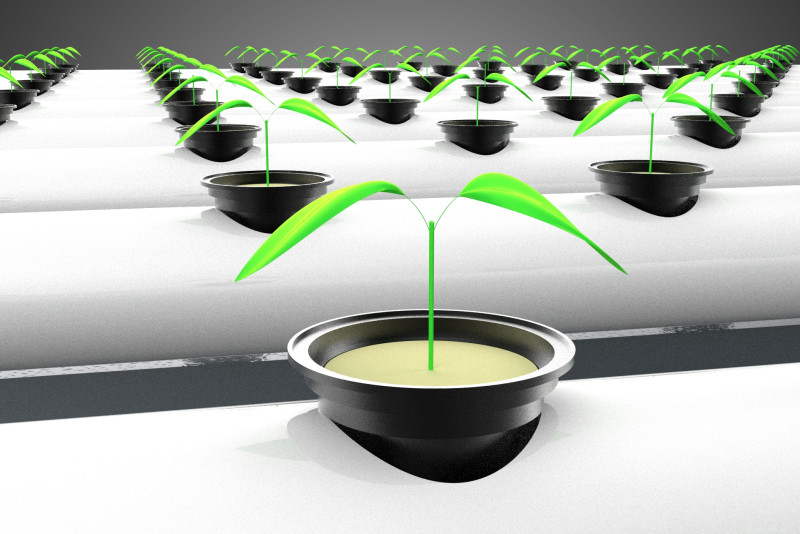 幼小的小植物 农作物 树木 幼苗 种子 NFT 管 3D 模型 .c4d .max .obj .3ds .fbx .stl .blend 