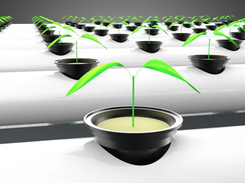 GIOVANI PIANTE PIANTE COLTURE ALBERI PIANTE PIANTINE SEMI TUBI NFT Modello 3D