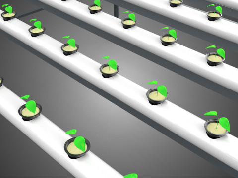 幼小的小植物 农作物 树木 幼苗 种子 NFT 管 3D 模型