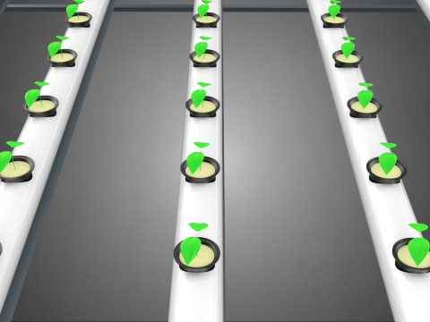 幼小的小植物 农作物 树木 幼苗 种子 NFT 管 3D 模型