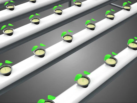 YOUNG SMALL PLANTS CROPS TREES PLANTLET SEEDLINGS SEED NFT TUBES 3D Model