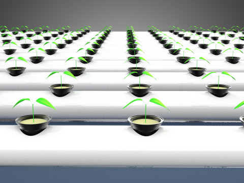 幼小的小植物 农作物 树木 幼苗 种子 NFT 管 3D 模型