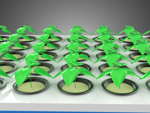 PLASTIC WATER TANK STORAGE CONTAINER AEROPONIC PLANT GROW FARM 3D Model