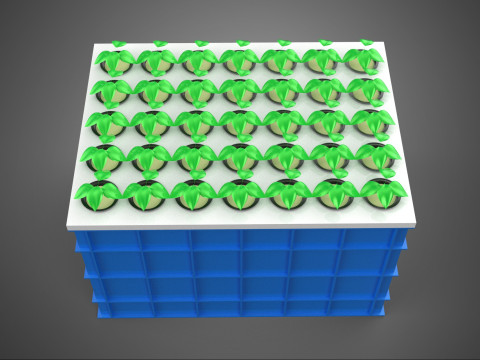 AEROPONICS BOX GRID SEEDLING PLANT ROOT TRAY CULTIVATION GARDEN 3D Model