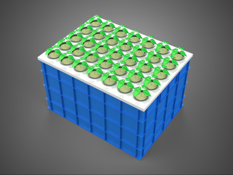 एरोपोनिक्स बॉक्स ग्रिड सीडलिंग प्लांट रूट ट्रे कल्टीवेशन गार्डन 3D मॉडल