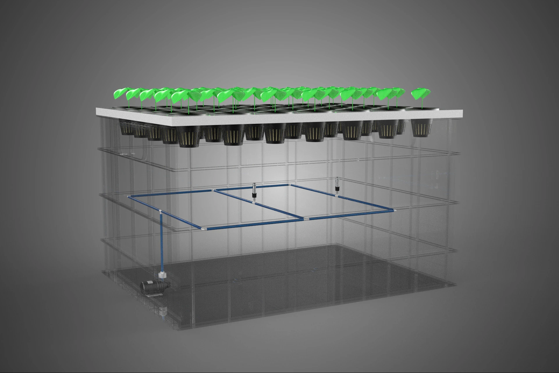 TRANSPARENT AEROPONIC PLANT CROP TANK NET POTS PUMP GROWING TRAY 3D Model .c4d .max .obj .3ds .fbx .stl .blend 