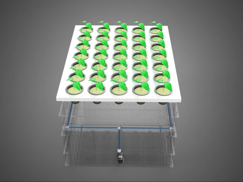 TRANSPARENT AEROPONIC PLANT CROP TANK NET POTS PUMP GROWING TRAY 3D Model