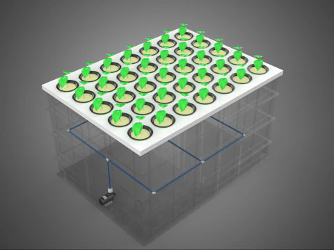 TRANSPARENT AEROPONIC PLANT CROP TANK NET POTS PUMP GROWING TRAY 3D Model