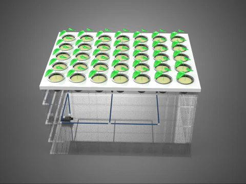TRANSPARENT AEROPONIC PLANT CROP TANK NET POTS PUMP GROWING TRAY 3D Model