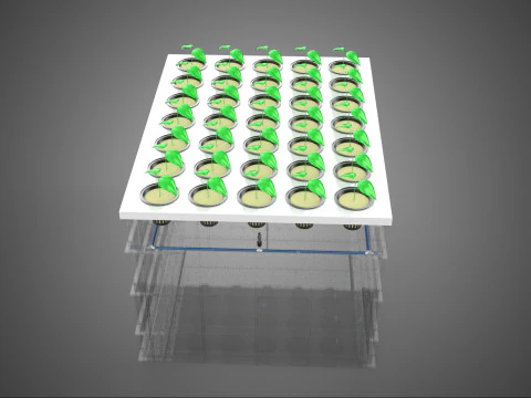 TRANSPARENT AEROPONIC PLANT CROP TANK NET POTS PUMP GROWING TRAY 3D Model