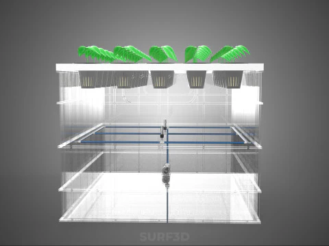 TRANSPARENT AEROPONIC PLANT CROP TANK NET POTS PUMP GROWING TRAY 3D Model