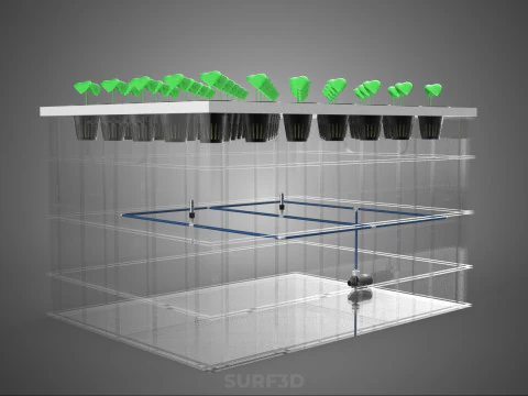 TRANSPARENT AEROPONIC PLANT CROP TANK NET POTS PUMP GROWING TRAY 3D Model