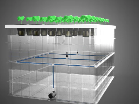 TRANSPARENT AEROPONIC PLANT CROP TANK NET POTS PUMP GROWING TRAY 3D Model
