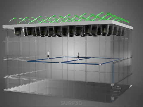 TRANSPARENT AEROPONIC PLANT CROP TANK NET POTS PUMP GROWING TRAY 3D Model