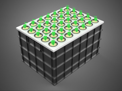 VERTICAL FARMING MODULE AEROPONIC HYDROPONIC PLANT TRAY GARDEN 3D Model
