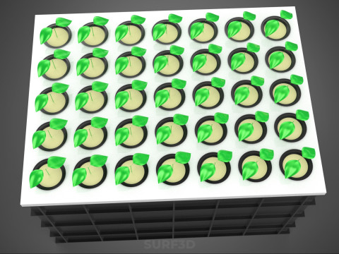VERTICAL FARMING MODULE AEROPONIC HYDROPONIC PLANT TRAY GARDEN 3D Model