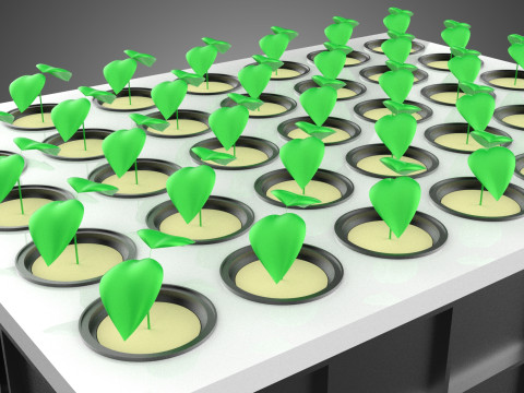 VERTICAL FARMING MODULE AEROPONIC HYDROPONIC PLANT TRAY GARDEN 3D Model