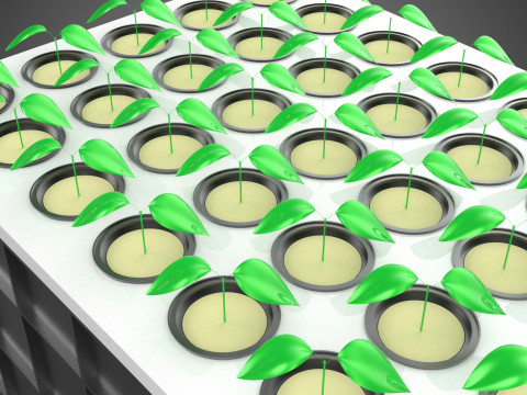 VERTICAL FARMING MODULE AEROPONIC HYDROPONIC PLANT TRAY GARDEN 3D Model