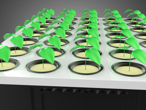 VERTICAL FARMING MODULE AEROPONIC HYDROPONIC PLANT TRAY GARDEN 3D Model
