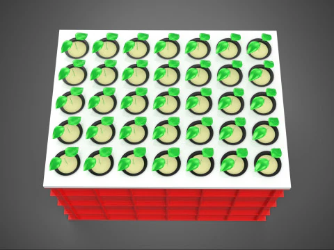 PIANTINE IDROPONICHE AEROPONICHE VASSOIO PER PIANTARE GERMOGLI DI ALBERO TAZZA A RETE Modello 3D