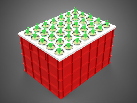 Semis aéroponiques hydroponiques, pousses d'arbre, plateau de plantation, tasse en filet Modèle 3D