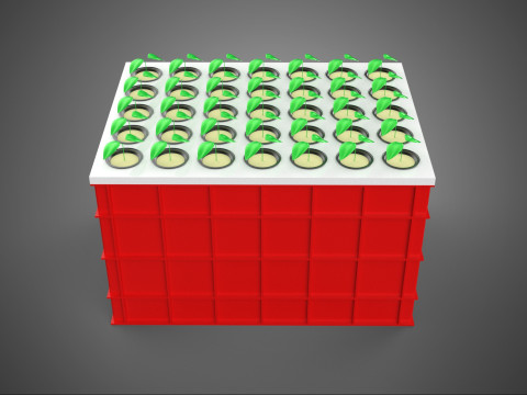 Semis aéroponiques hydroponiques, pousses d'arbre, plateau de plantation, tasse en filet Modèle 3D